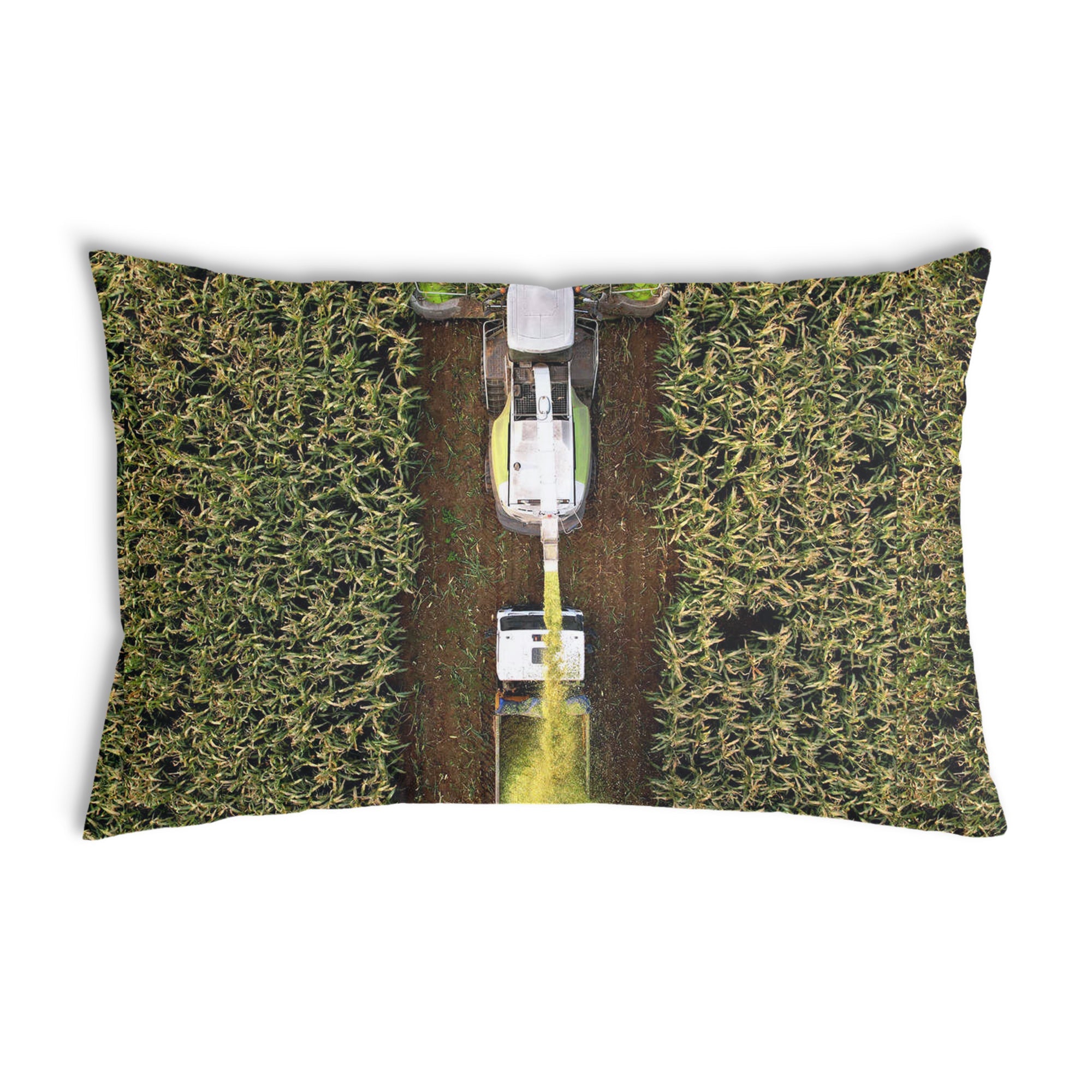 Cuscino salute Campo verde
