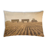 Cuscino salute Braun Acker