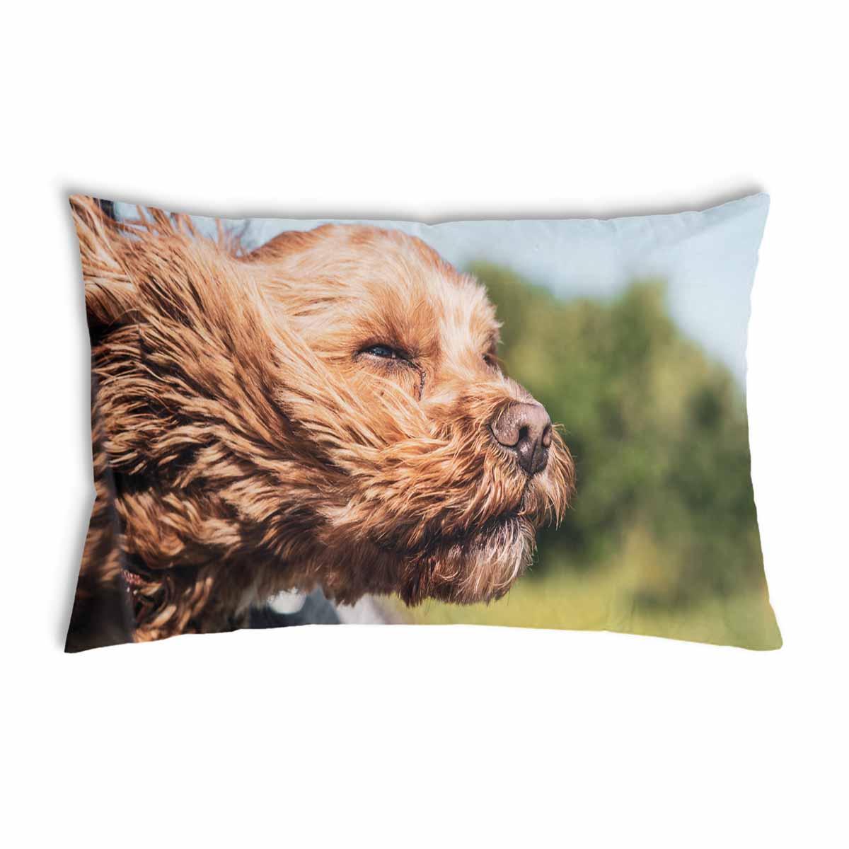 Cuscino sanitario con cane in auto