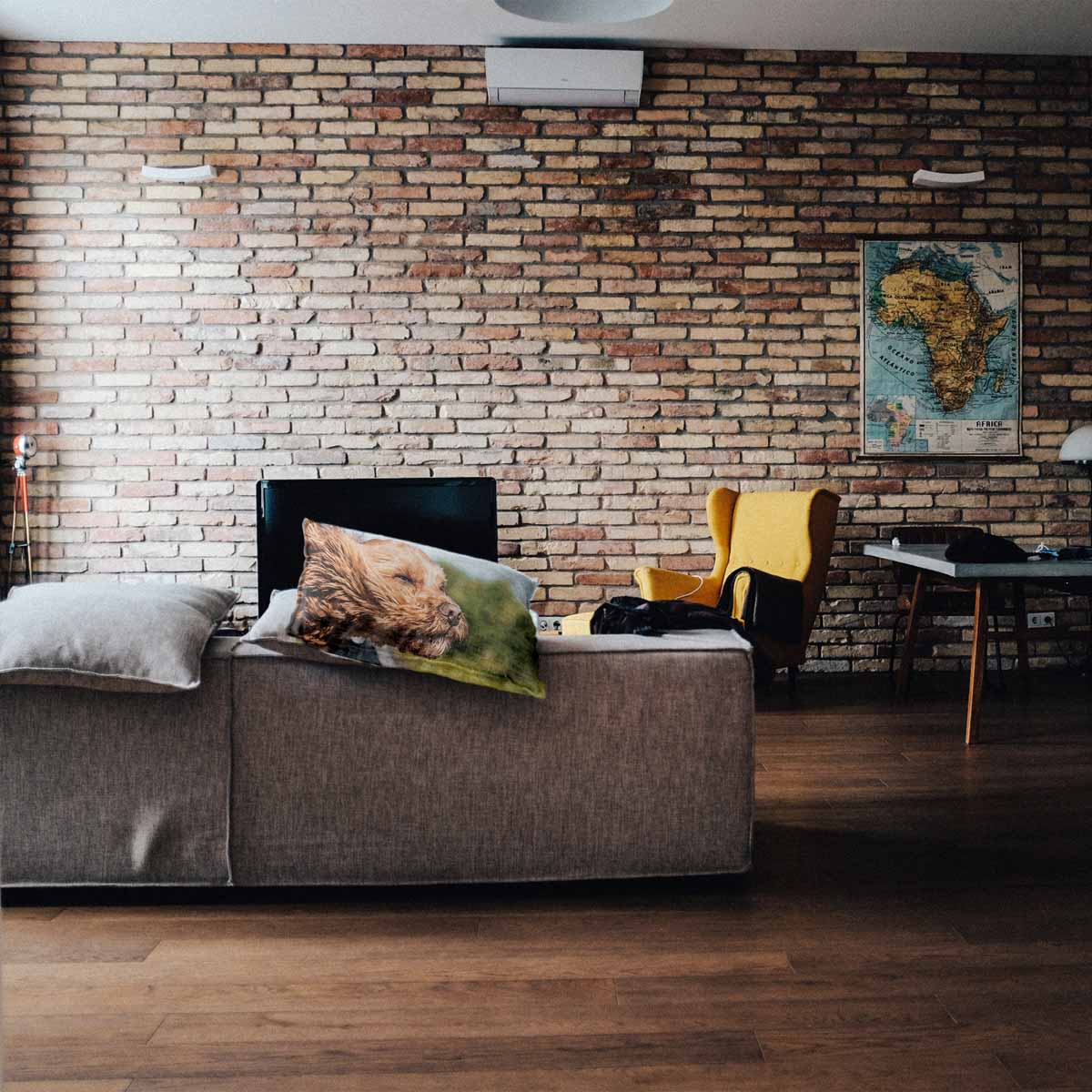 Cuscino sanitario con cane in auto