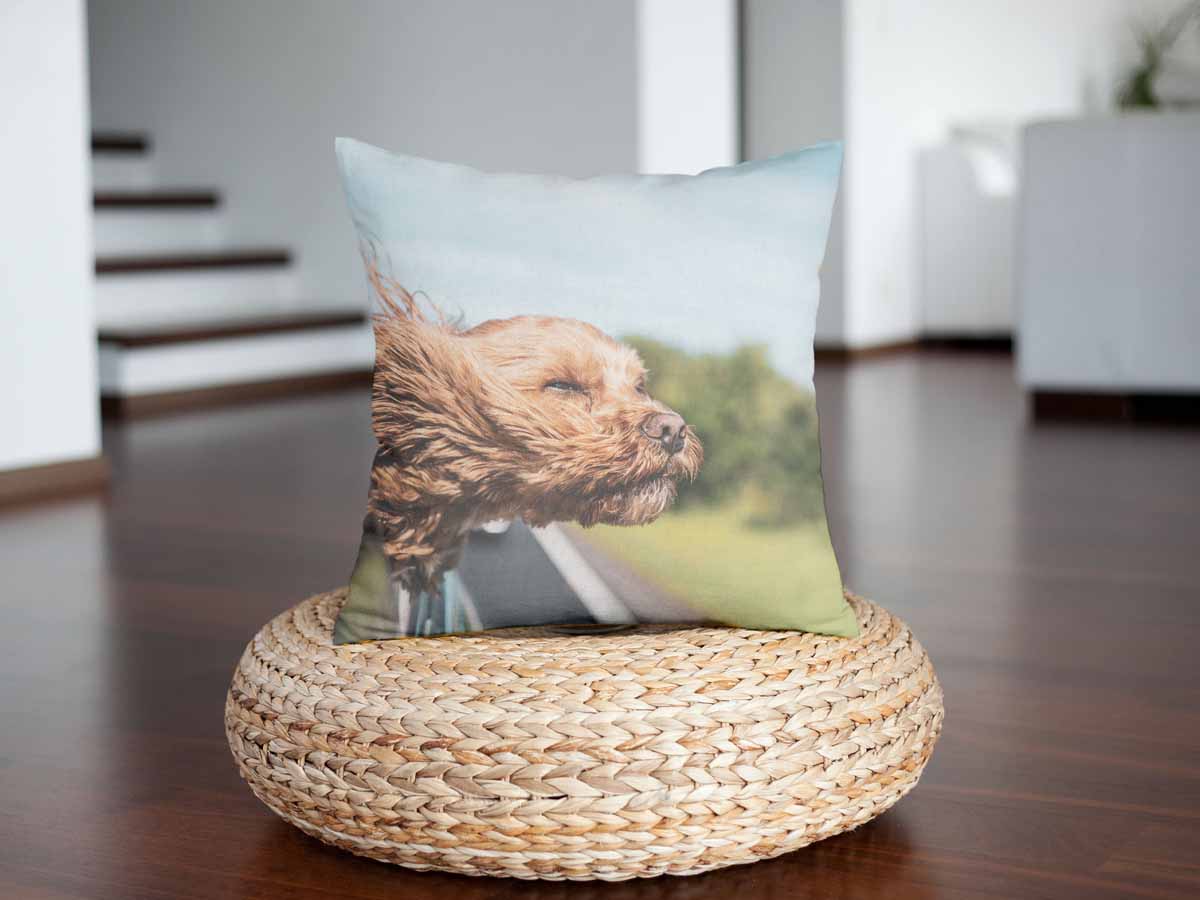 Cuscino sanitario con cane in auto