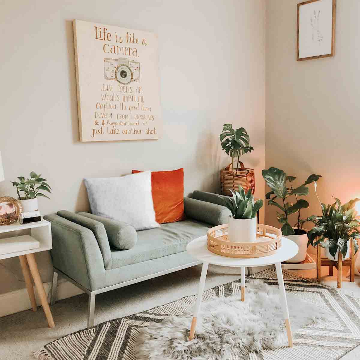 Cuscino salute Rami grigio chiaro