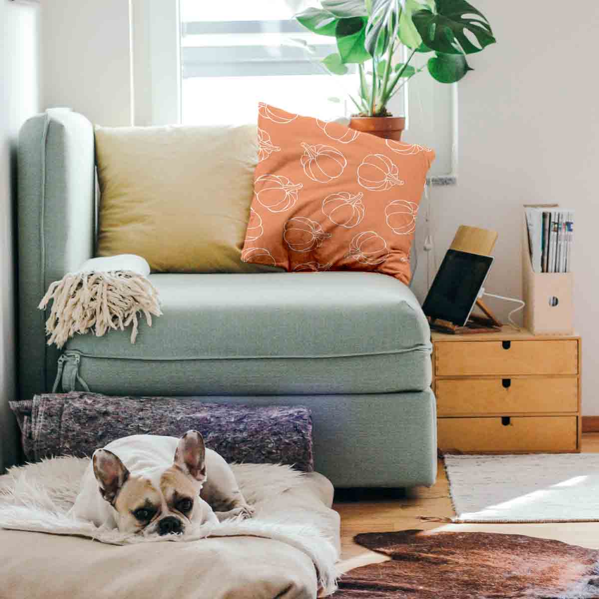 Cuscino salute arancione con zucca