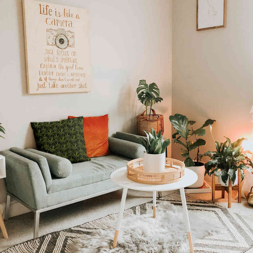 Cuscino salute foglia di canapa