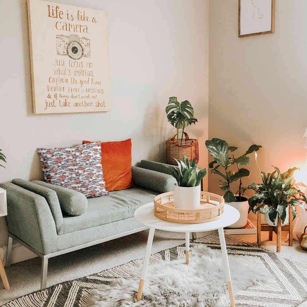 Cuscino sanitario pesci grigi