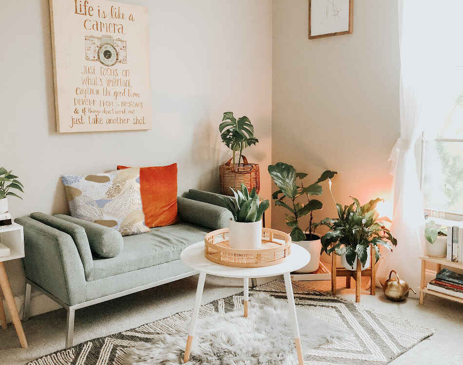 Cuscino sanitario anemone di mare oro