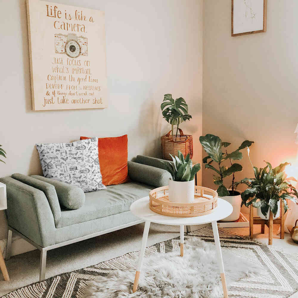 Cuscino sanitario grigio fattoria