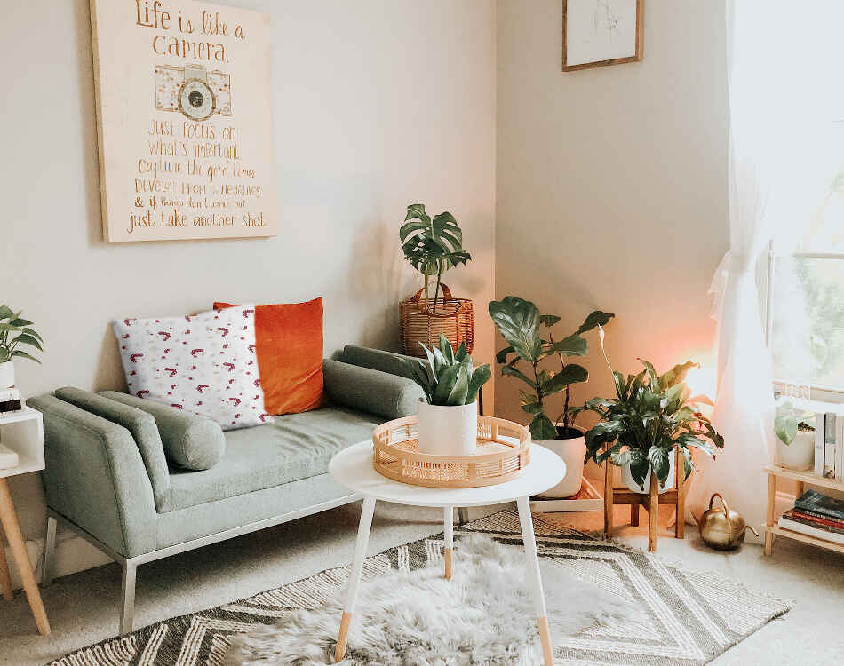 Cuscino sanitario con cespuglio di bacche