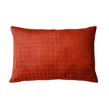 Cuscino sanitario rosso per adulti