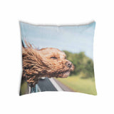 Cuscino sanitario con cane in auto