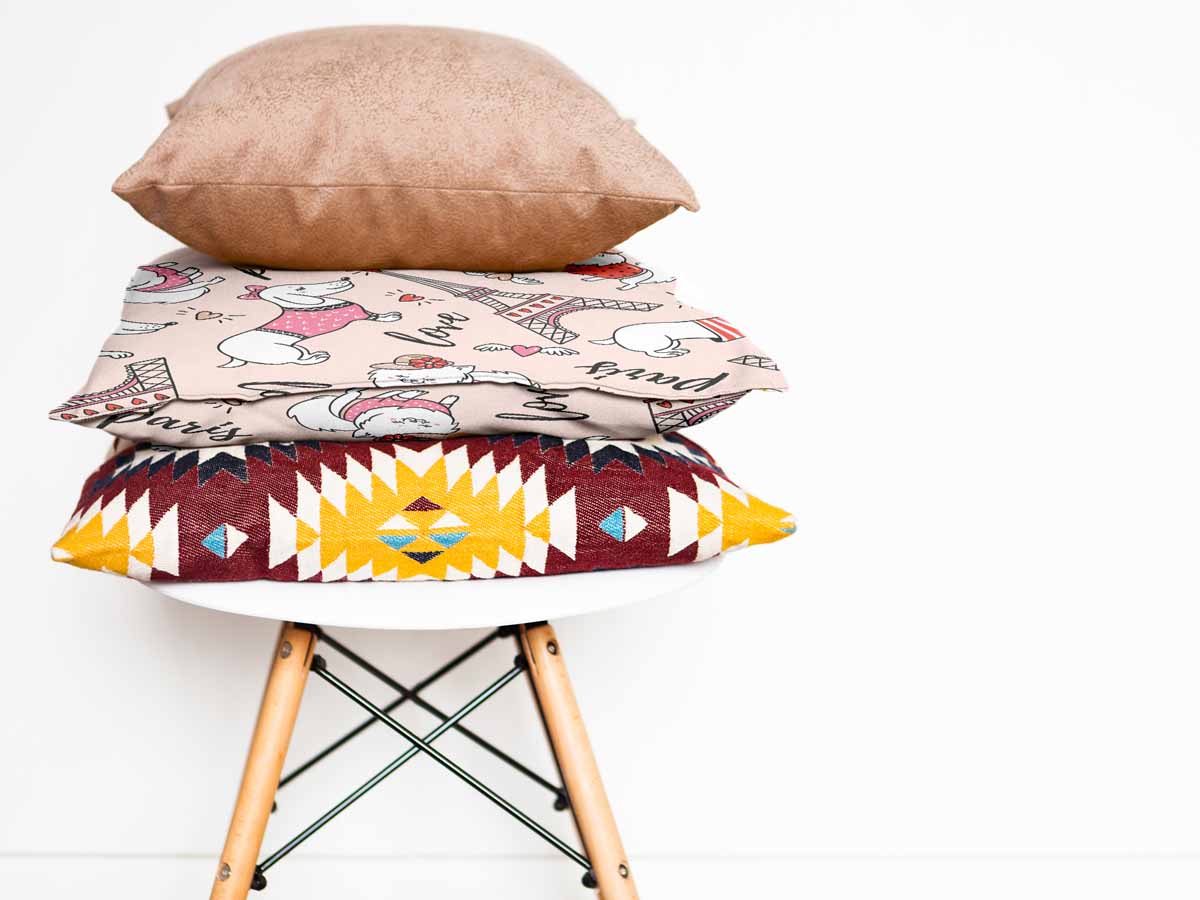 Cuscino salute cane a Parigi