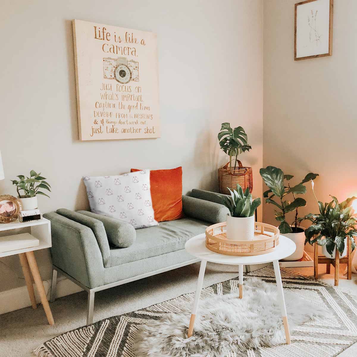 Cuscino sanitario bianco con gatto