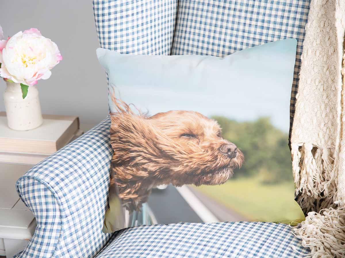 Cuscino sanitario con cane in auto