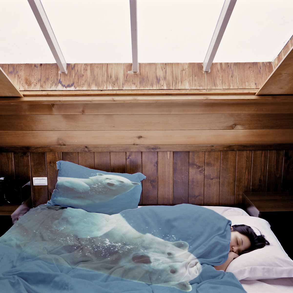 Set di biancheria da letto con coperta terapeutica blu con orso polare