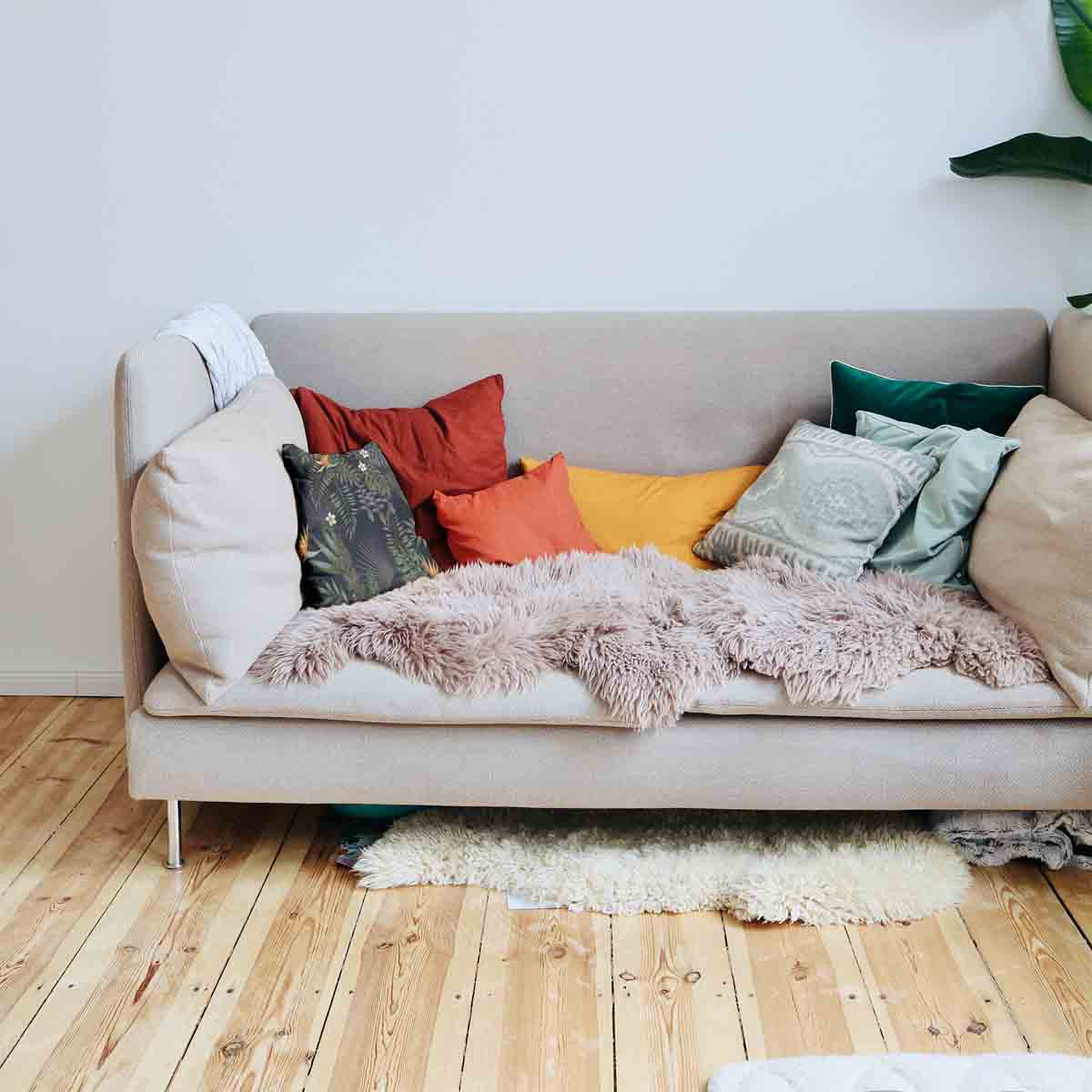 Cuscino salute foresta pluviale