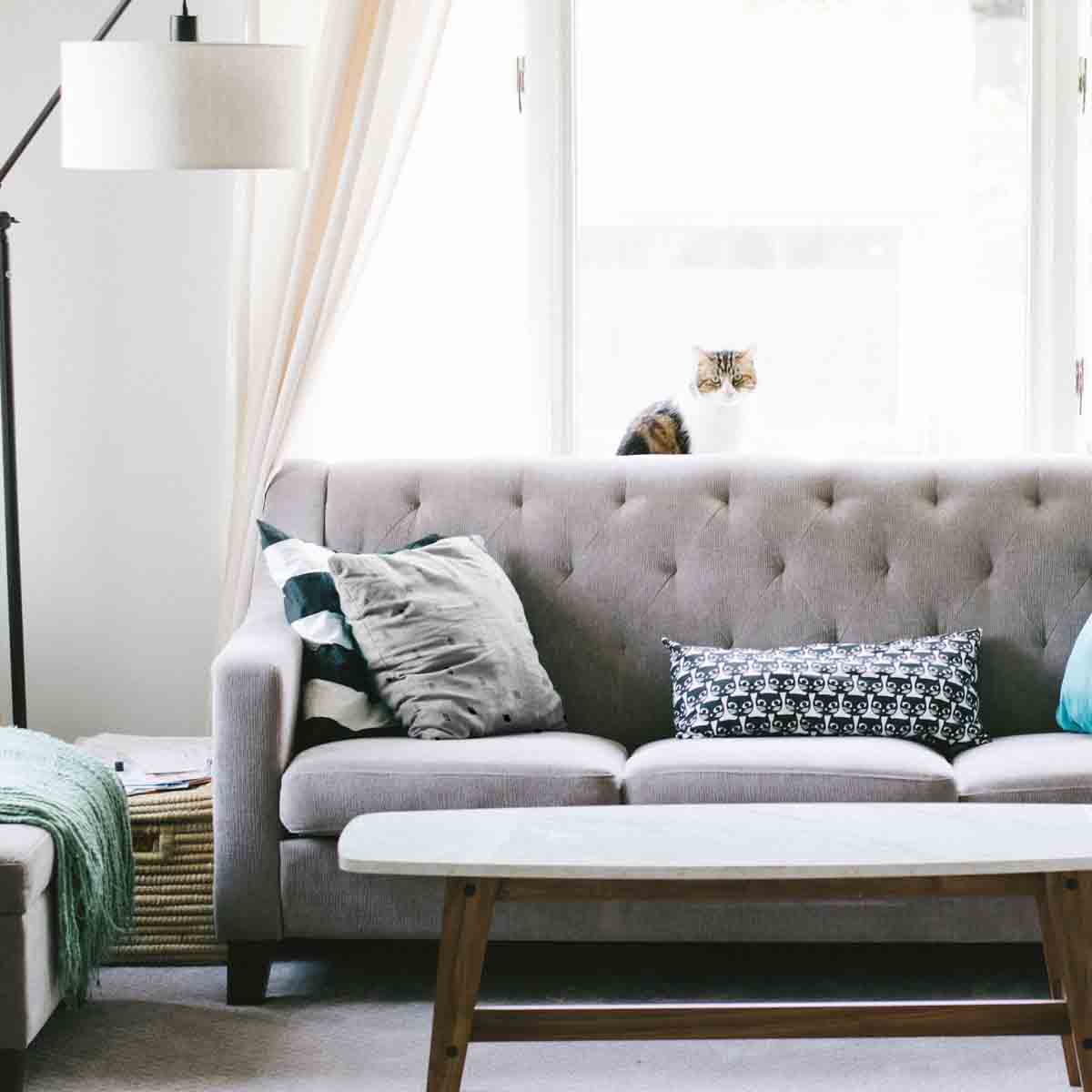 Cuscino sanitario con macchie grigie