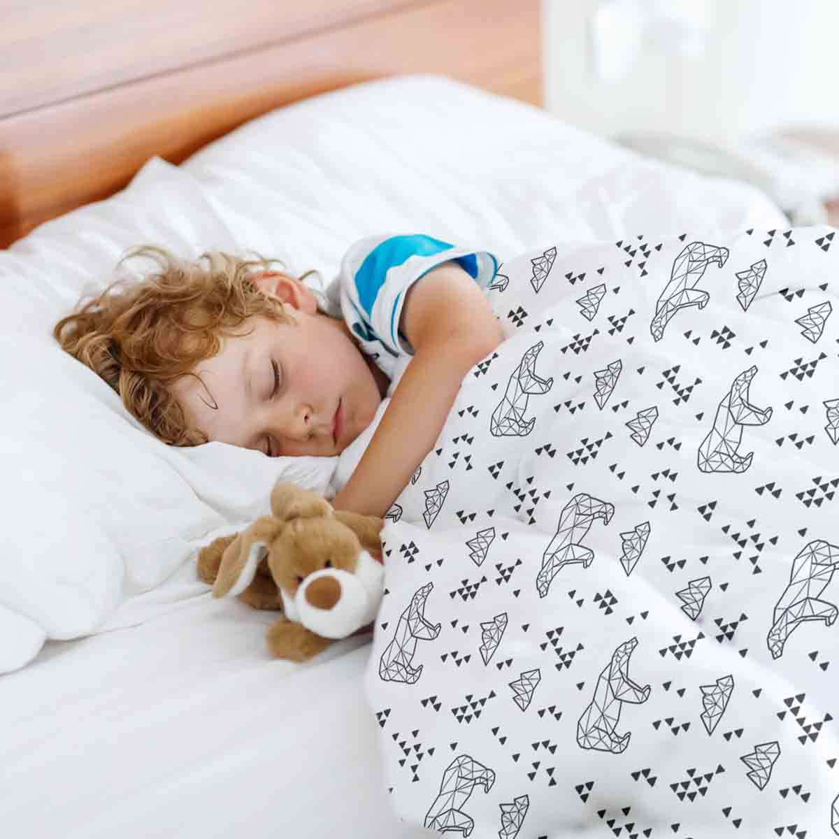 Set di biancheria da letto con coperta terapeutica Polo Nord