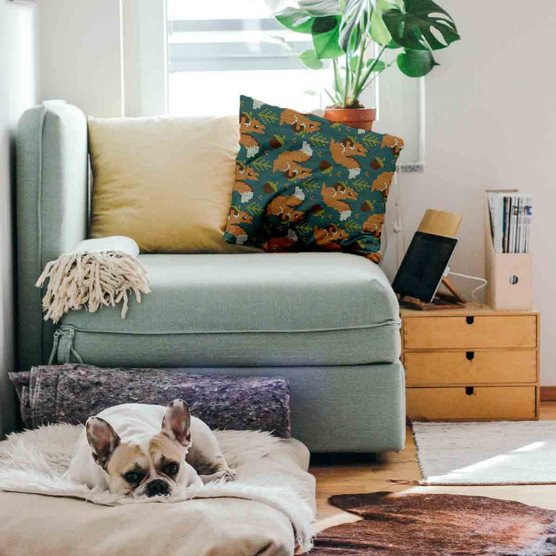 Cuscino salute verde con scoiattolo