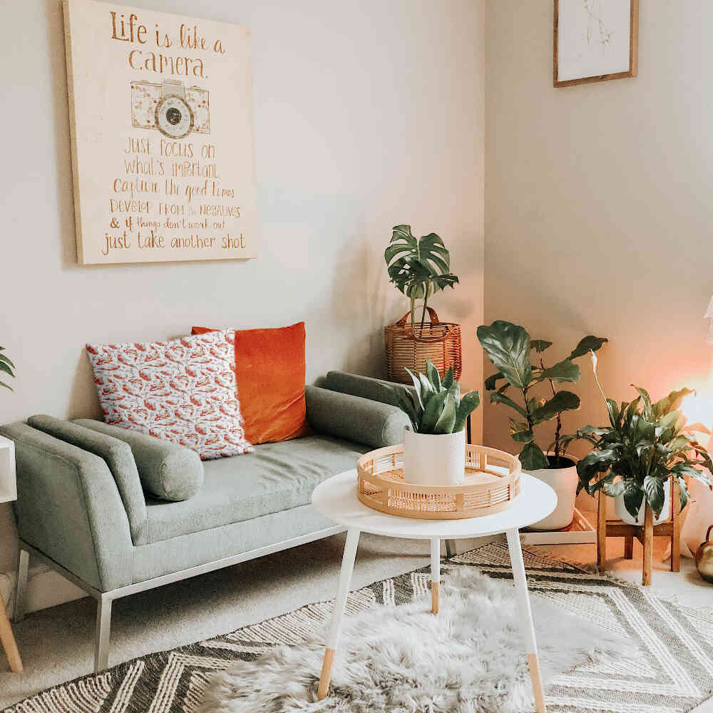 Cuscino salute carpa arancione