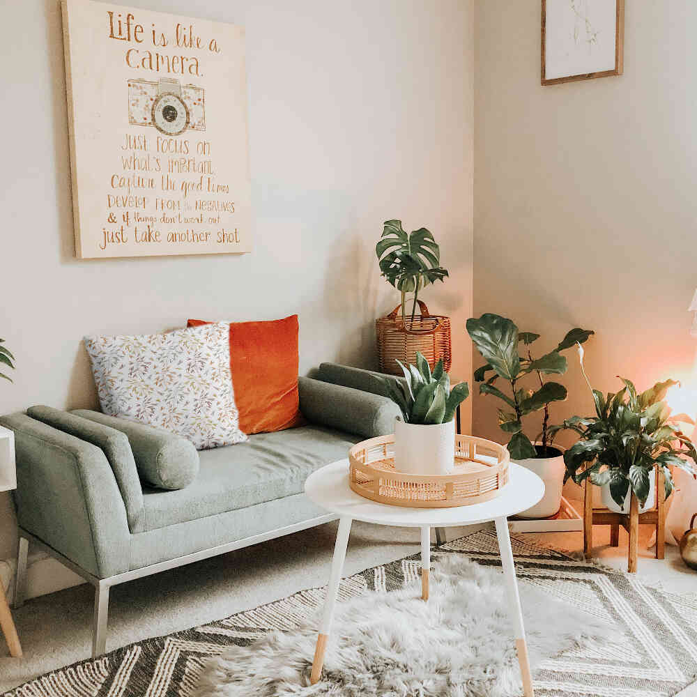 Cuscino per la salute con delicati rami colorati