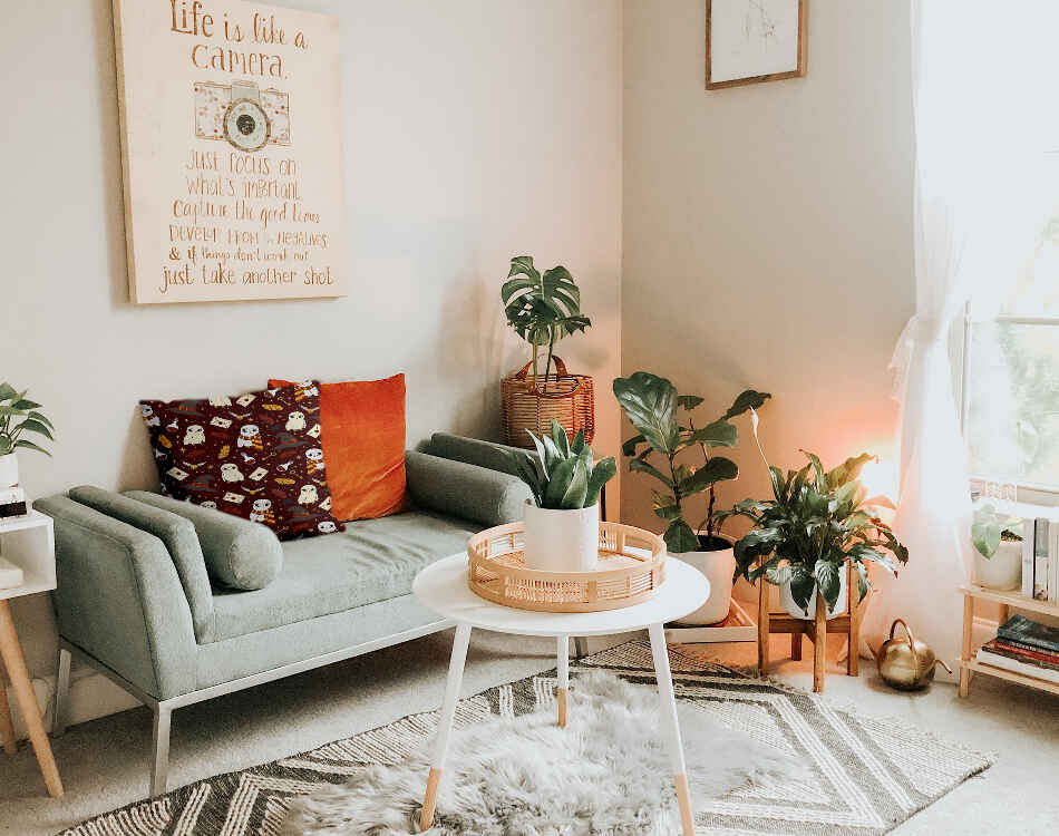 Cuscino sanitario Braun Hedwig